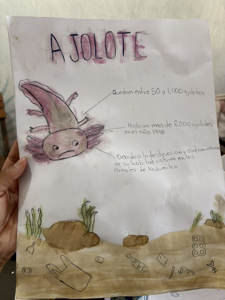 Una hoja pintada a mano: un ajolote rosa con notas sobre cuántos quedan y por qué, y el fondo de un canal con basura