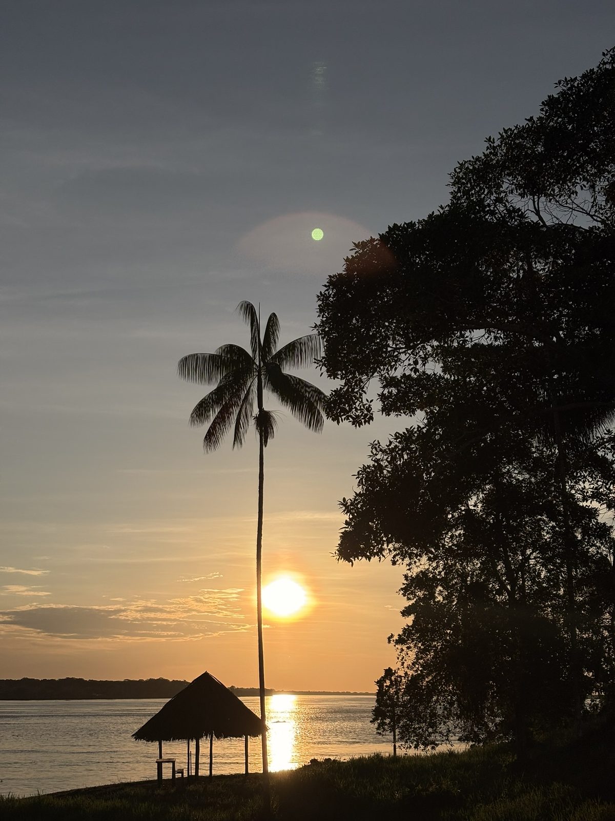 El r&iacute;o al atardecer desde la reserva, con una palma alta y el techo de palma de una construcci&oacute;n abierta en la orilla