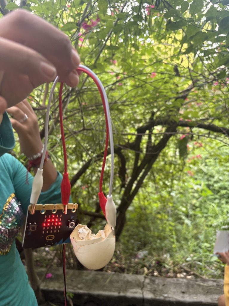 Una mano al aire libre sosteniendo una micro:bit con caimanes prendidos a un fruto que cuelga de una rama; la matriz de LEDs de la placa est&aacute; encendida