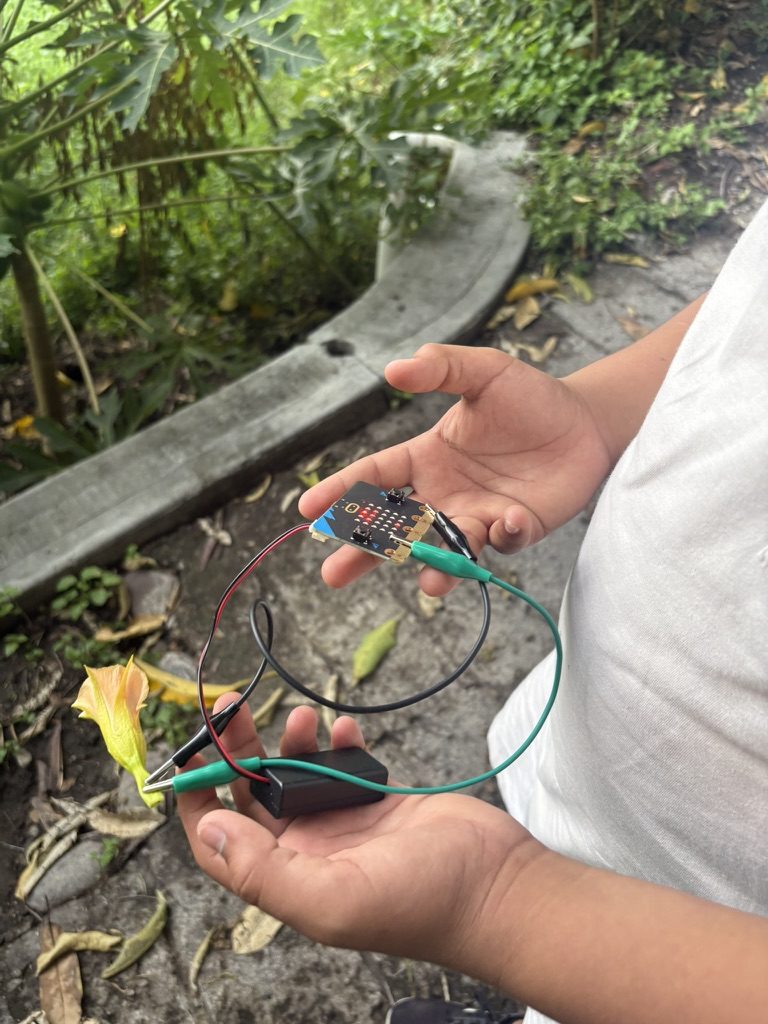 Manos al aire libre sosteniendo una micro:bit con caimanes prendidos a material vegetal en el suelo