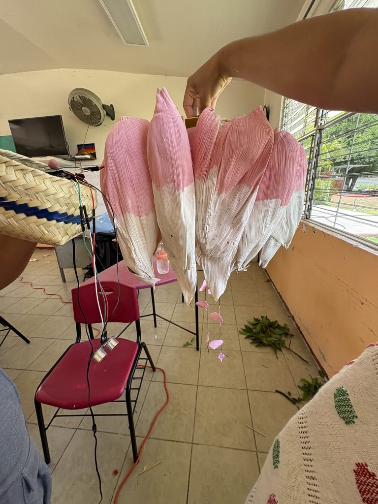 P&eacute;talos de totomoxtle te&ntilde;idos de rosa y blanco, colgados en fila dentro de un cuarto, con una laptop y un sombrero tejido detr&aacute;s