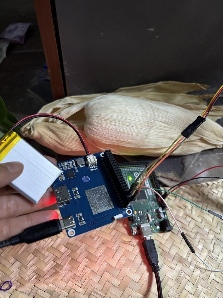 Una mano sosteniendo una pila junto a una placa con m&oacute;dulo de bater&iacute;a, cables rojos y negros conectados y un LED rojo prendido; una mazorca de totomoxtle atr&aacute;s y todo puesto sobre un tejido de palma