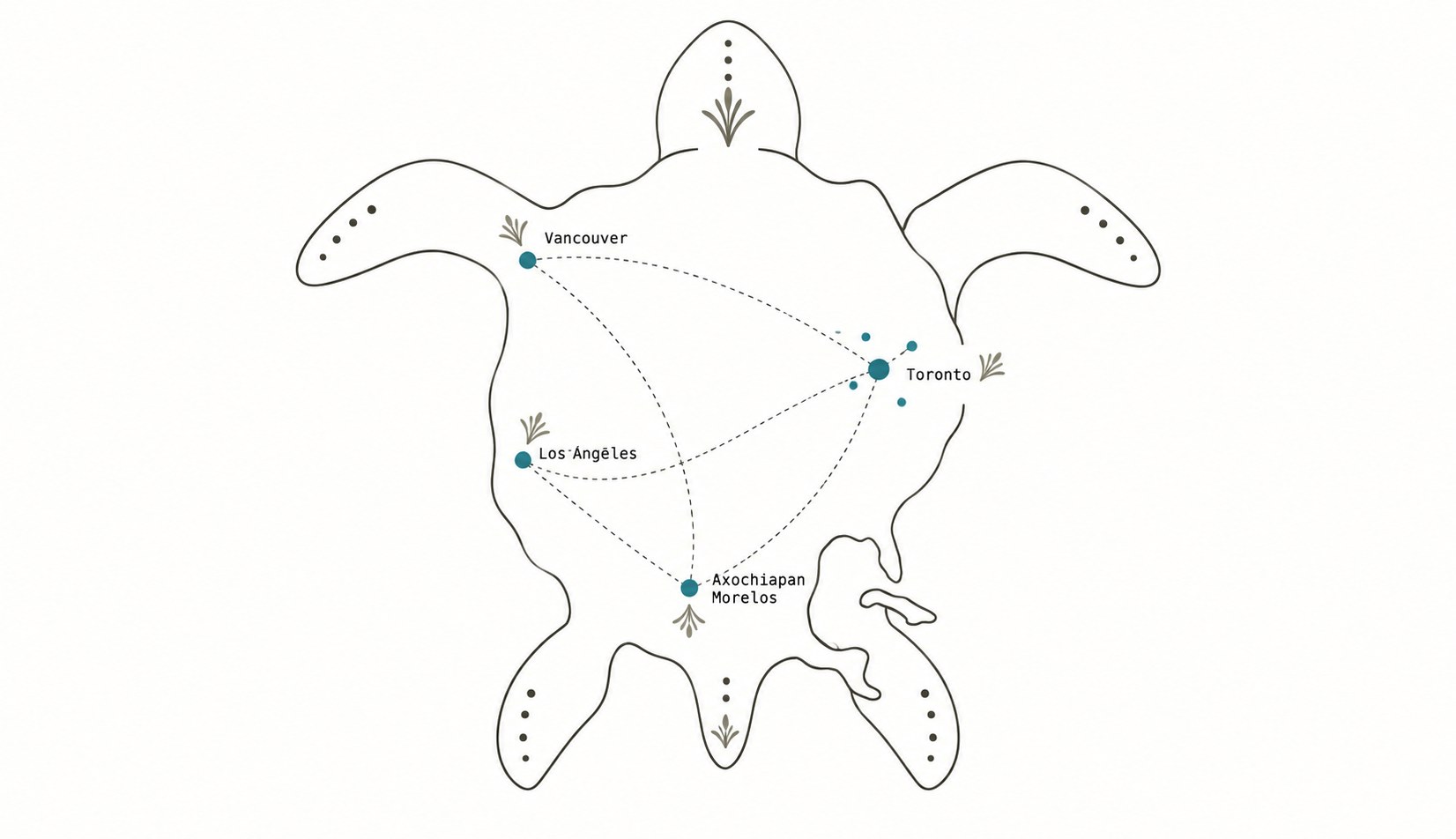 Un dibujo de línea de una tortuga vista desde arriba, con el contorno de Norteamérica dentro: nodos verde azulado en Vancouver, Los Ángeles, Toronto (con varios nodos pequeños alrededor) y Axochiapan, Morelos, unidos por líneas punteadas