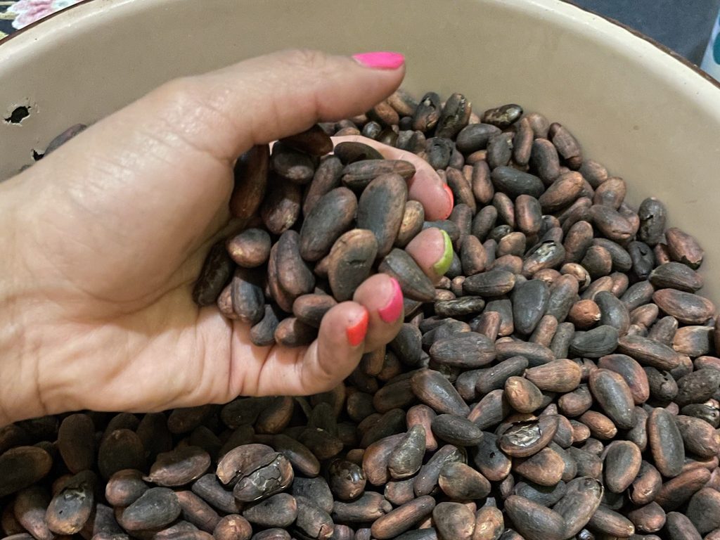 Una mano levantando semillas secas de una cazuela grande llena de ellas